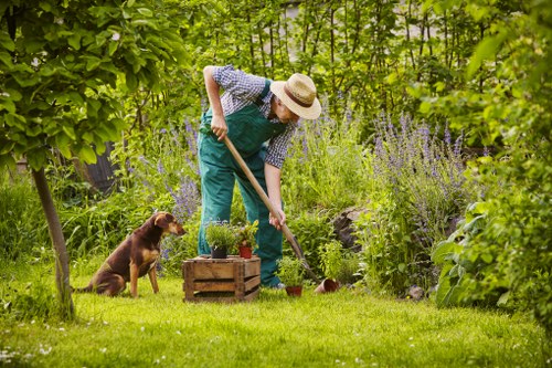 Lush green lawn cared for by professionals